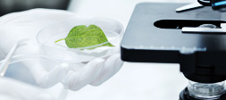 Nanchang Xinggan Sci-tech Industrial Co., Ltd.